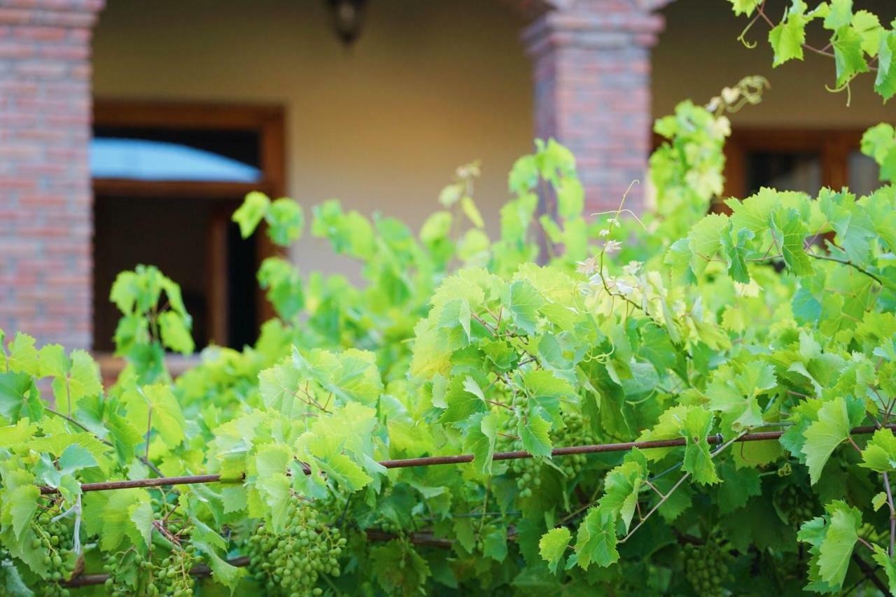 Hotel Magdalena Mtsʼkhetʼa 外观 照片